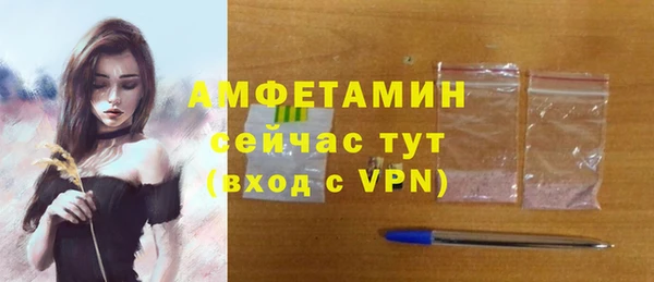 хмурый Белокуриха