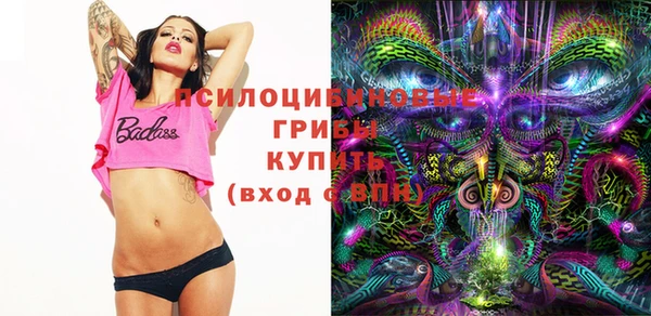 твердый Няндома