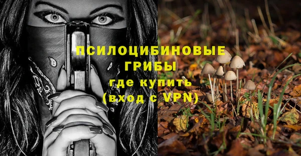 хмурый Нязепетровск